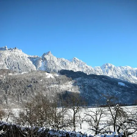 Bachmann * Bludenz