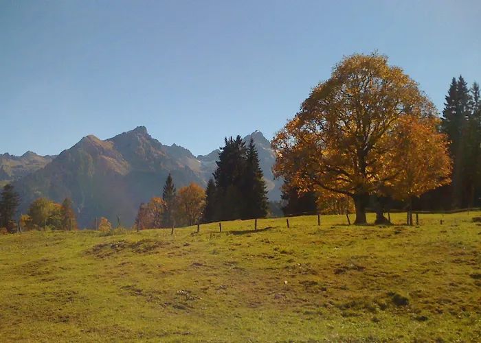 Apartment Bachmann *