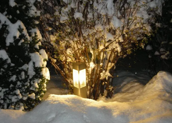 Bachmann Блуденц